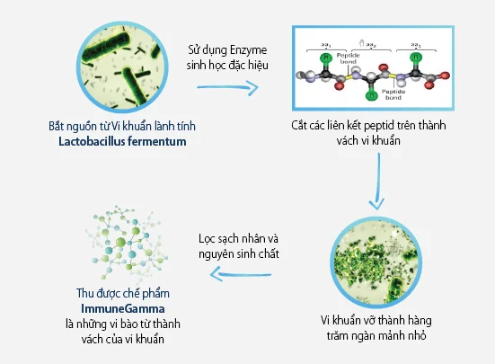 Immune Gamma – Công nghệ sinh học Hoa Kỳ